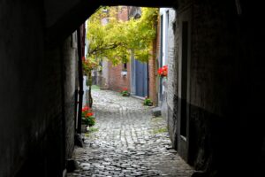 Ooievaarsstraat