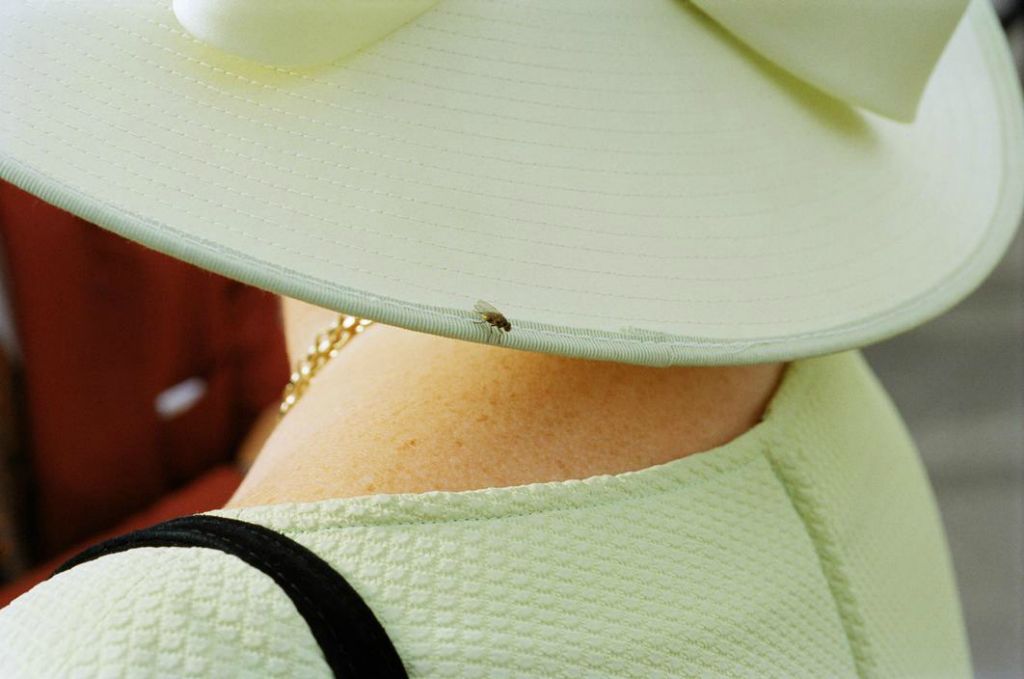 Martin Parr